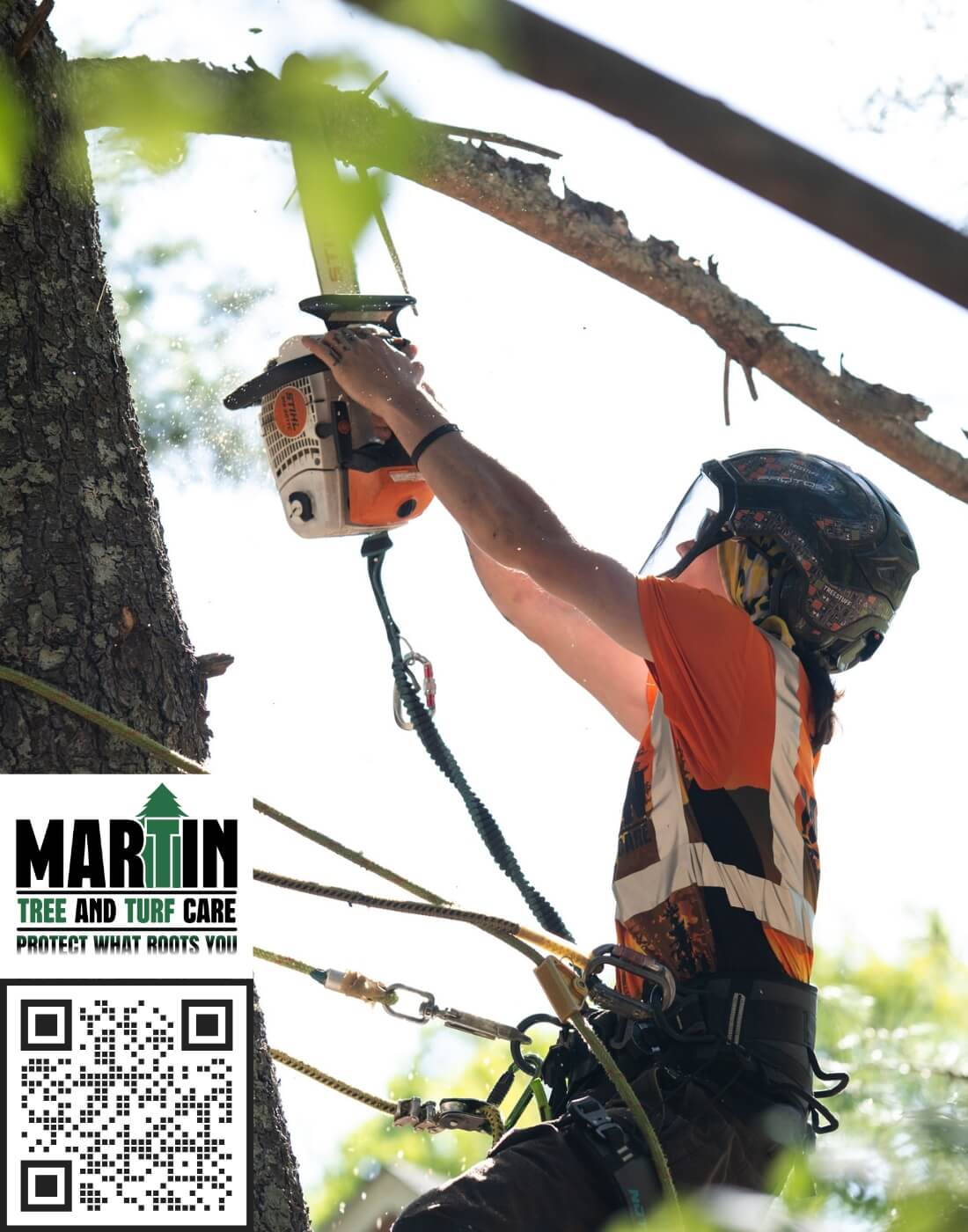 Greenville Tree Removal