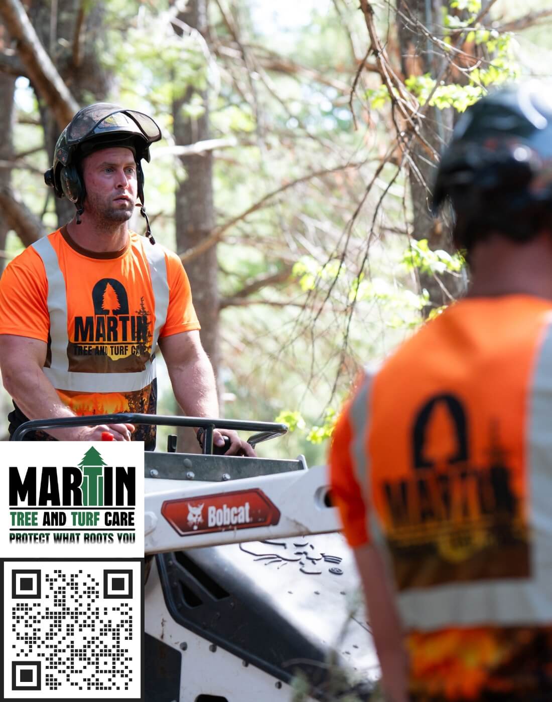 Greenville Tree Removal