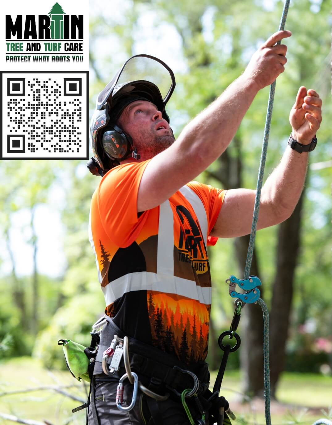 Professional tree worker in safety gear