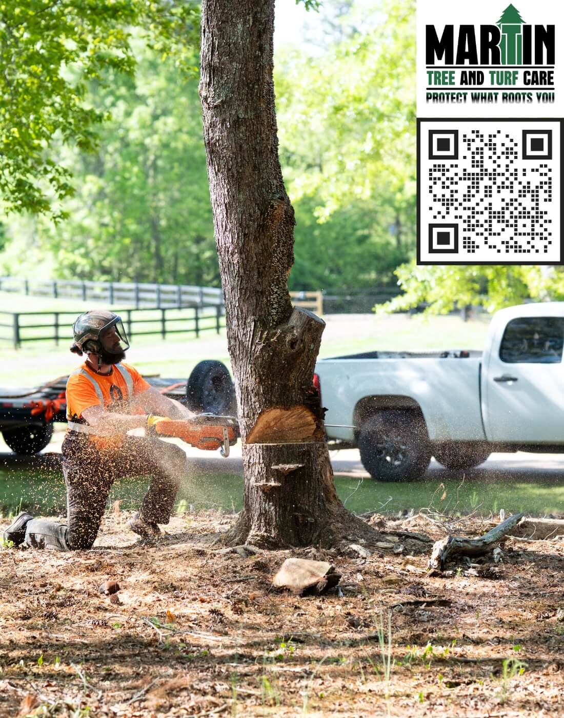 Arborist providing professional tree care